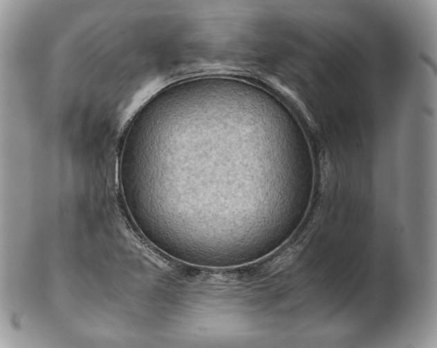 X0000101961365200808011058