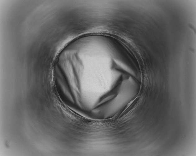 X0000101961366200808011058