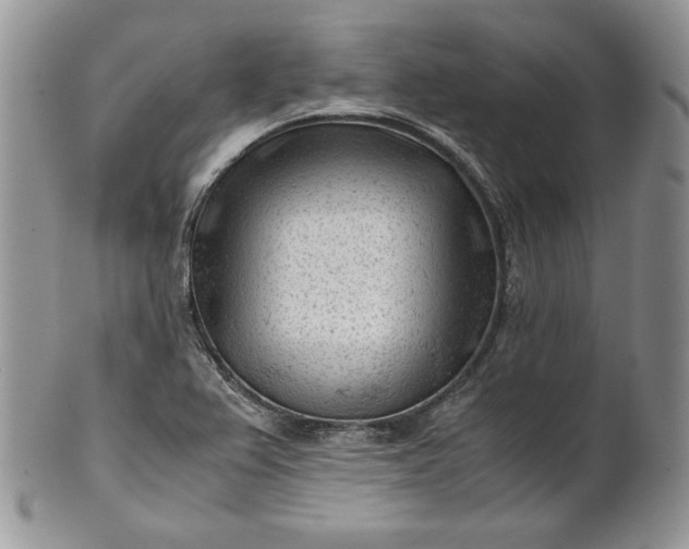 X0000101961367200808011058