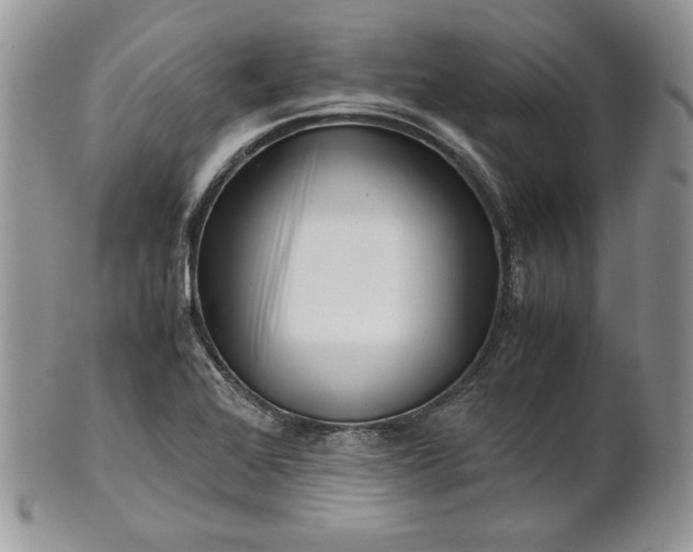 X0000101961368200808011058