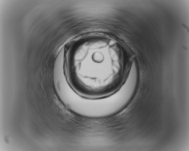 X0000101961369200808011058