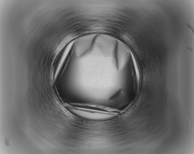 X0000101961370200808011058