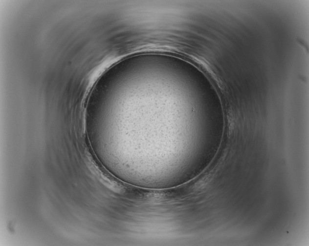 X0000101961371200808011058