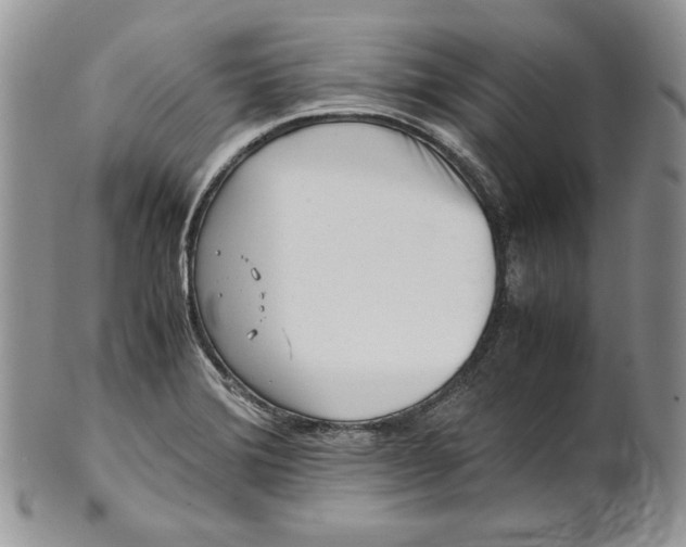 X0000101961372200808011058