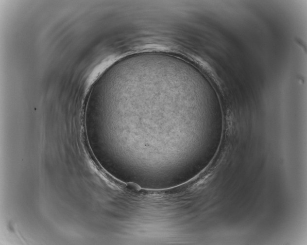 X0000101961373200808011058