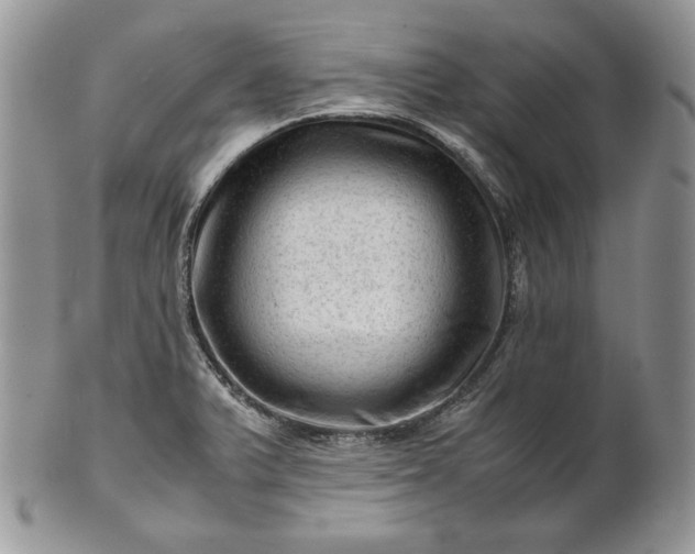 X0000101961375200808011058