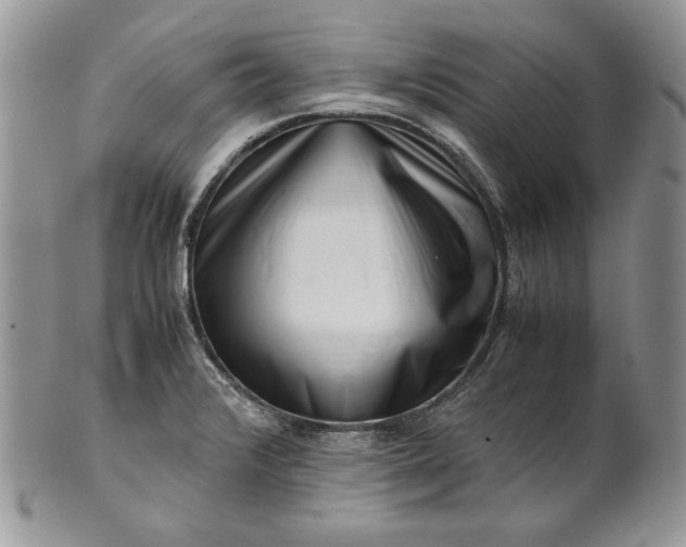 X0000101961376200808011058