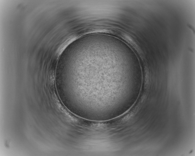 X0000101961377200808011058