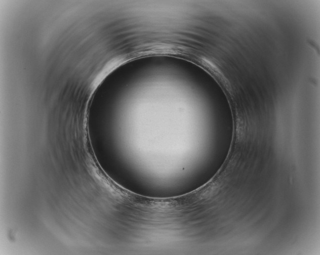 X0000101961378200808011058