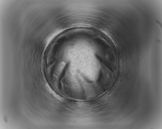 X0000101961379200808011058