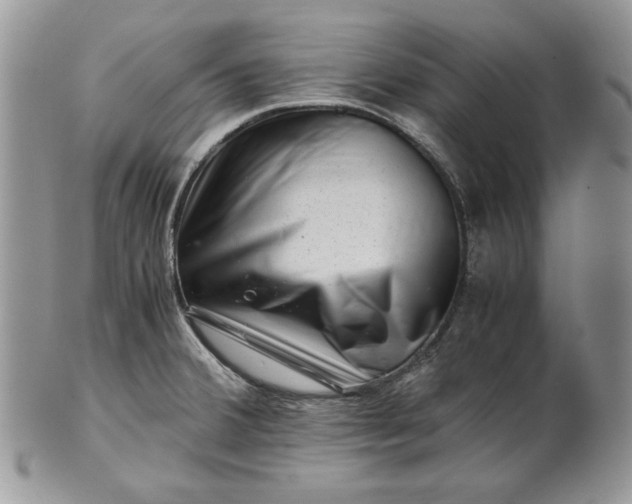 X0000101961380200808011058