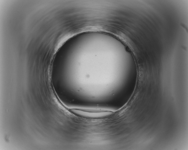 X0000101961382200808011058