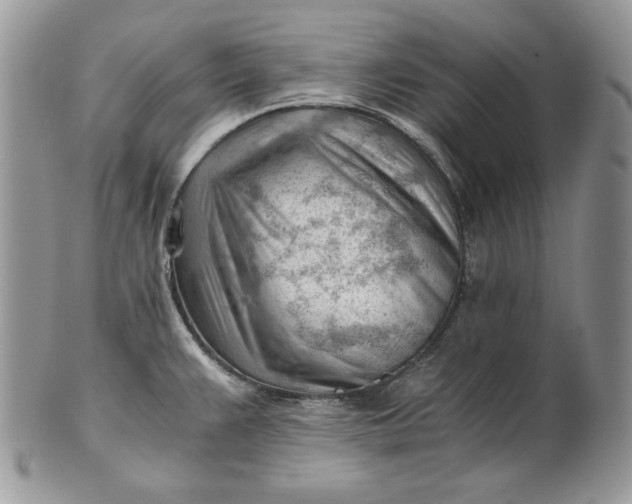 X0000101961383200808011058