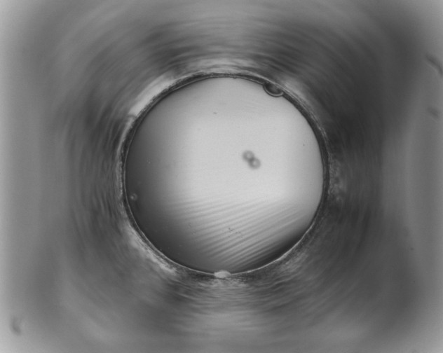 X0000101961384200808011058