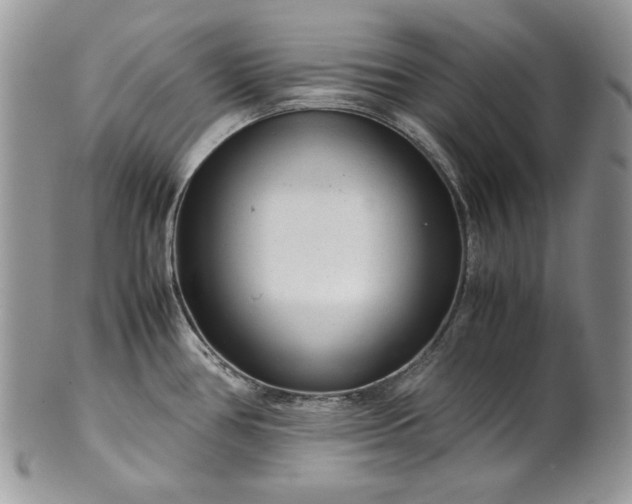 X0000101961386200808011058