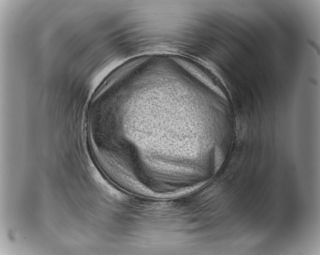 X0000101961387200808011058