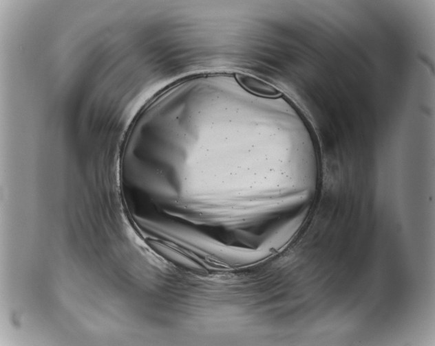 X0000101961388200808011058