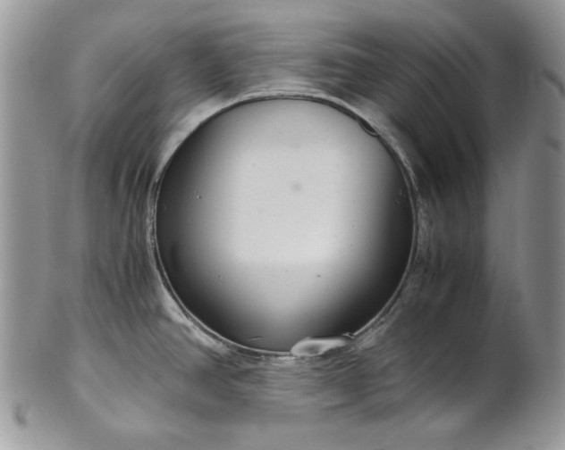 X0000101961390200808011058