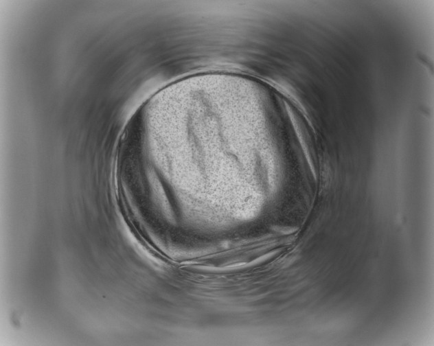 X0000101961391200808011058