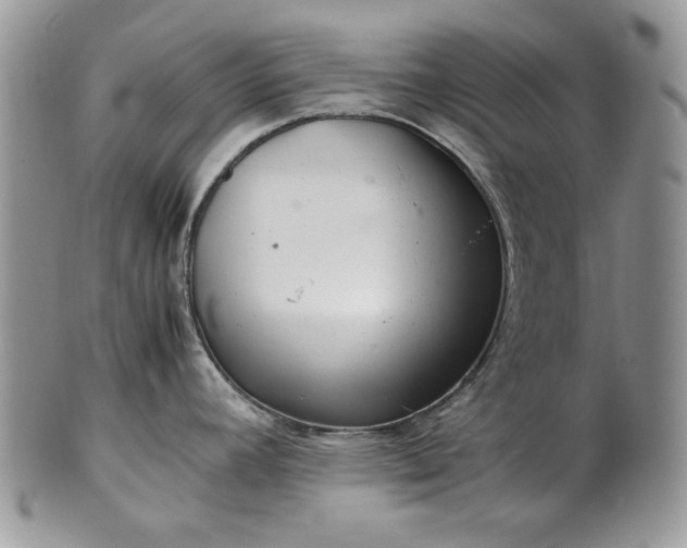 X0000101961392200808011058