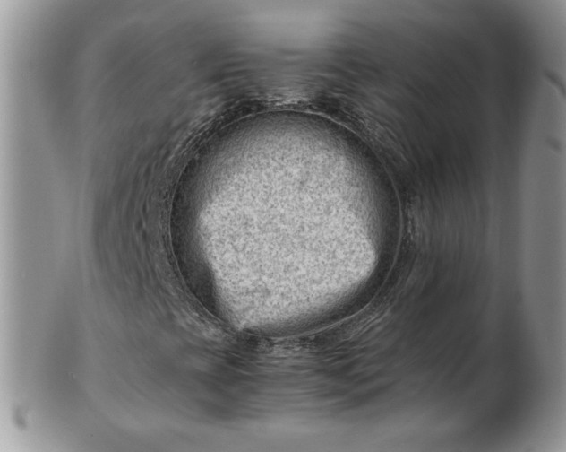 X0000101961393200808011057