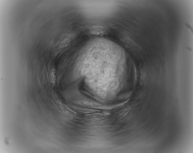 X0000101961394200808011057