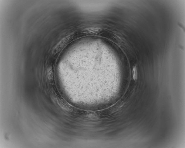 X0000101961395200808011057