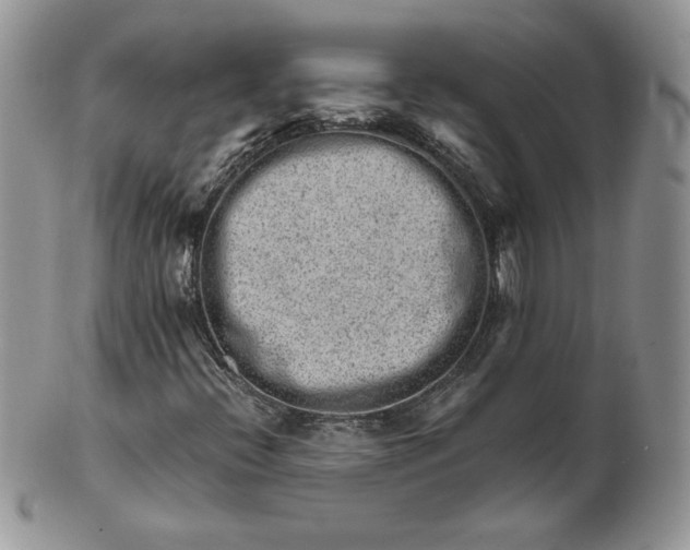 X0000101961396200808011057