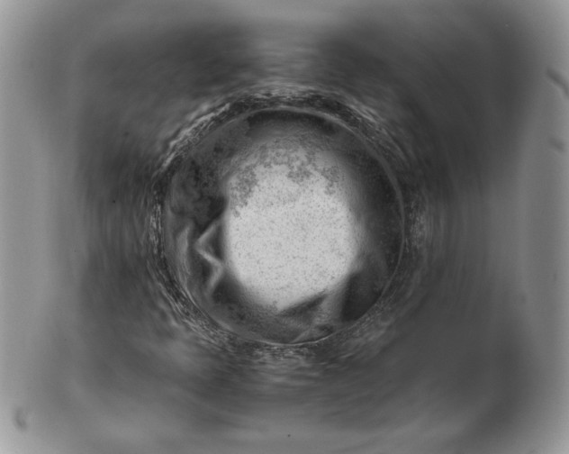 X0000101961397200808011057