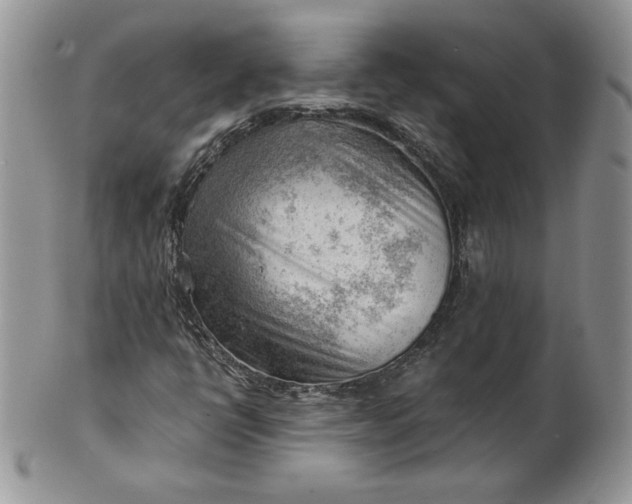 X0000101961398200808011057