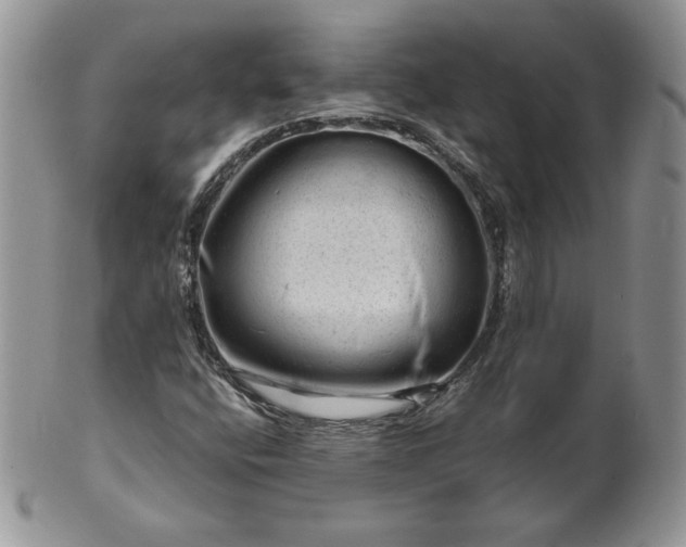 X0000101961400200808011057