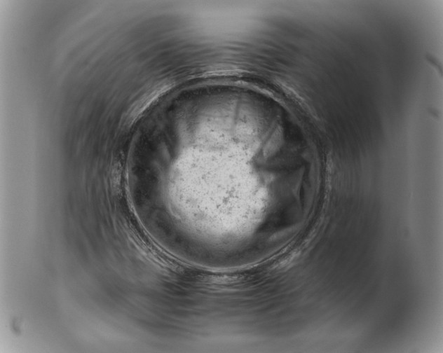 X0000101961401200808011057