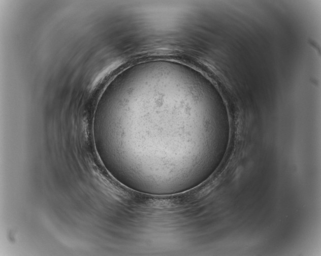 X0000101961402200808011057