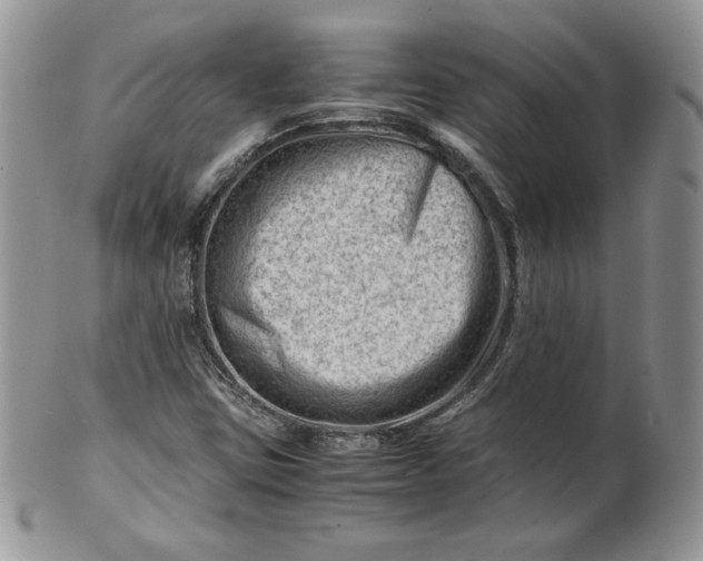 X0000101961403200808011057