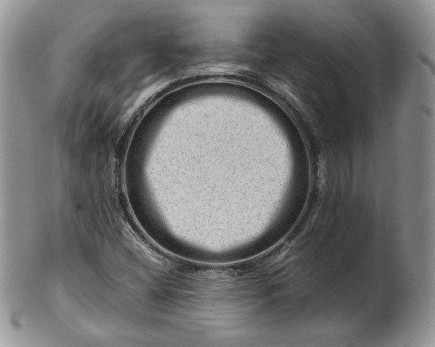 X0000101961404200808011057