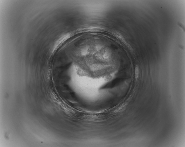 X0000101961405200808011057