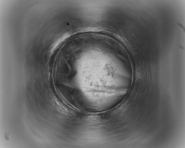 X0000101961406200808011057