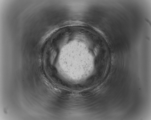 X0000101961407200808011057