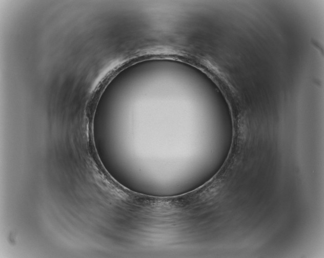 X0000101961408200808011057