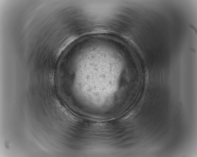 X0000101961409200808011057