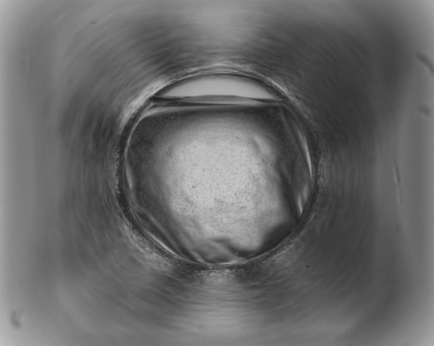 X0000101961410200808011057