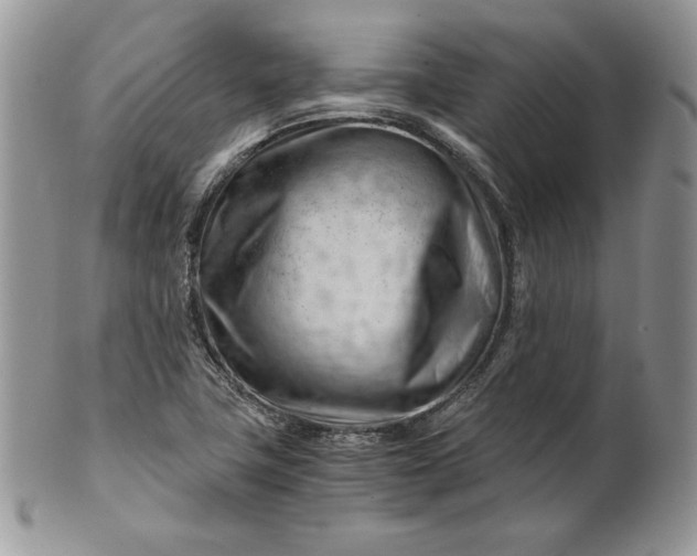 X0000101961411200808011057