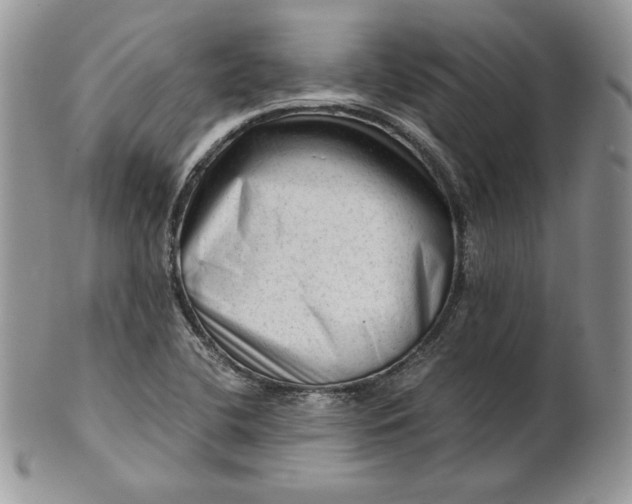 X0000101961412200808011057