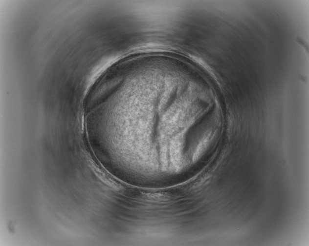 X0000101961413200808011057