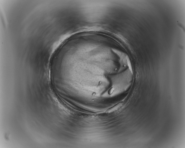 X0000101961414200808011057