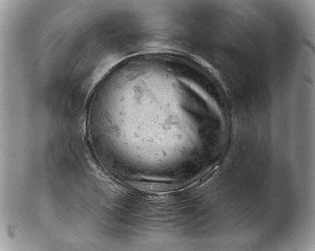 X0000101961415200808011057