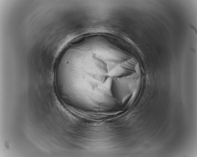 X0000101961416200808011057