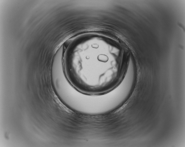 X0000101961417200808011057