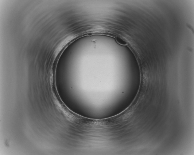 X0000101961418200808011057