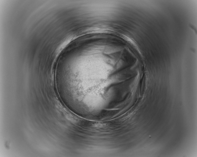 X0000101961419200808011057